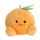 Palm Pal - Orange