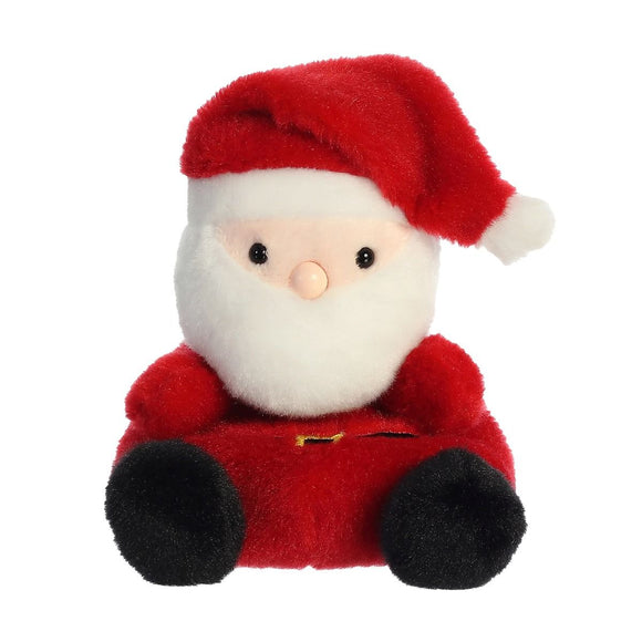 Palm Pal - Santa Claus