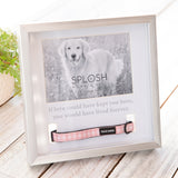 Photo Frame - In Loving Memory Pet Collar Frame