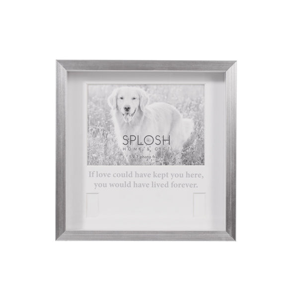 Photo Frame - In Loving Memory Pet Collar Frame