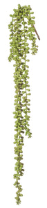 Greenery - Hanging Pearls - 71cm