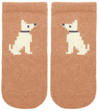 Toshi - Socks Puppy