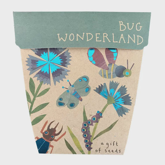 A Gift Of Seeds - Bug Wonderland