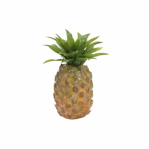 Pineapple - Small