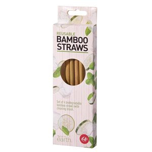 Reusable Bamboo Straws (Set of 4)