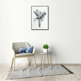Framed Art 50 x 70cm - Greyscale Bird Of Paradise