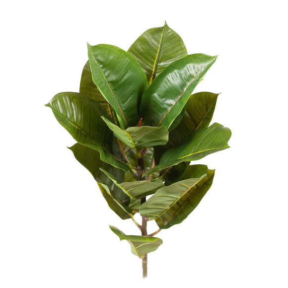 Rubber Leaf Bush - Green - 43cml