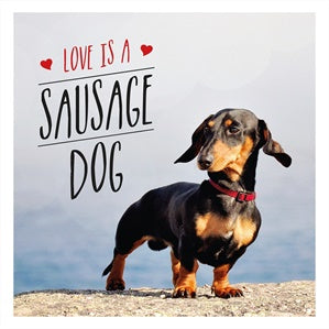 Book - Love Is A Sausage Dog