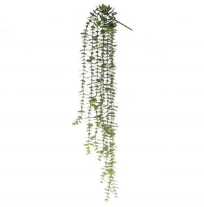 Coin Leaf Hanging Bush 81cm