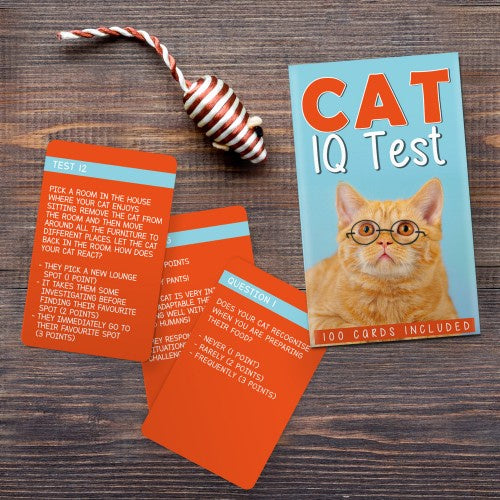 IQ Test - Cat