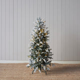 Christmas Tree - Scandinavian Fir 4 FT - 170 LED