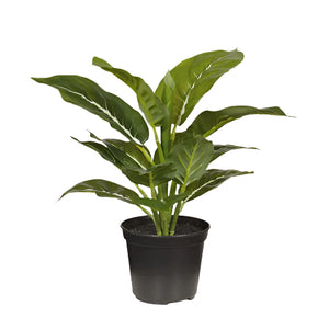 Faux Evergreen in Pot 28cm