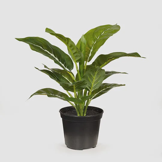 Faux Evergreen in Pot 28cm
