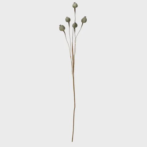 Faux Greenery - Poppy Seed Spray 76cm