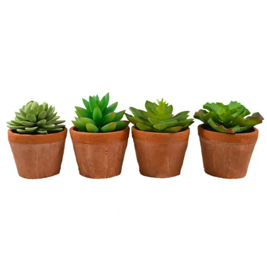 Succulent Terracotta Pot - 11cm - 4 Asst Designs