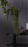 Greenery - Hanging Pearls - 71cm