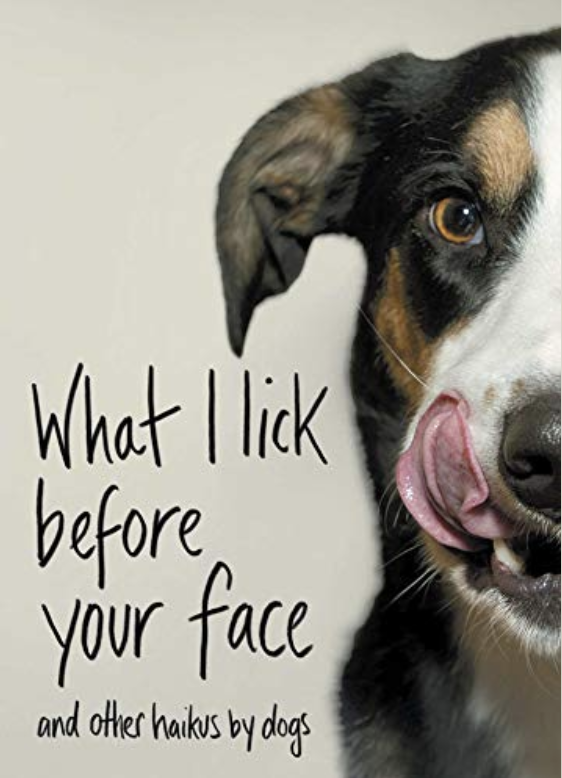 What I Lick Before Your Face.. And Other Haikus - By Dogs Book