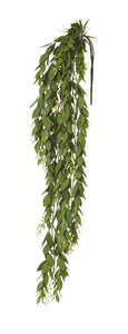 Greenery - Flowering Trailing Hanging Bush - 66cm