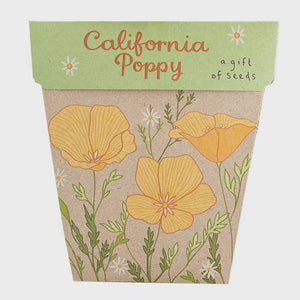 A gift of Seeds - California Poppy