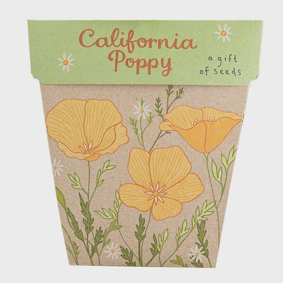 A gift of Seeds - California Poppy