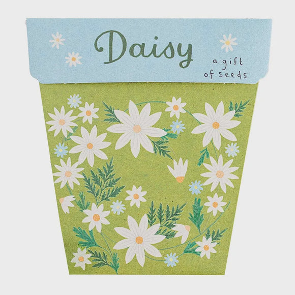A Gift Of Seeds - Daisy