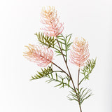 Grevillea Spray - Orange / Yellow