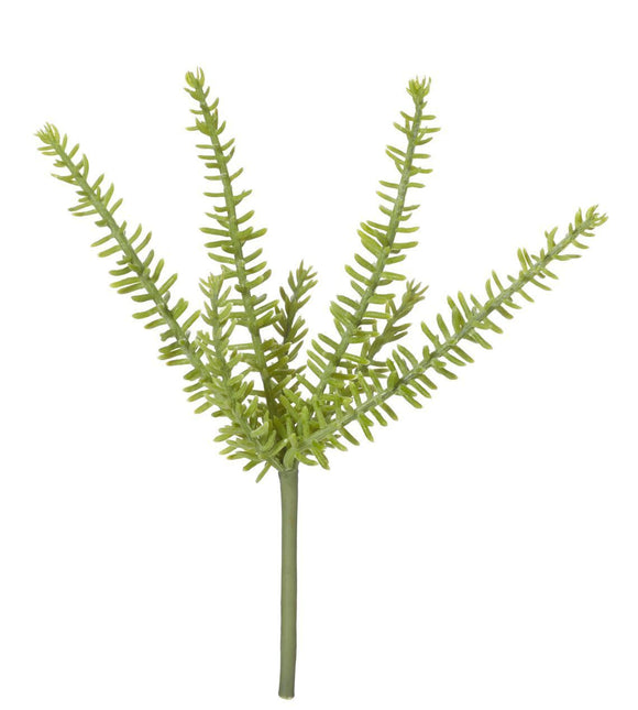 Greenery - Plant Mini Senico - 23cm Green