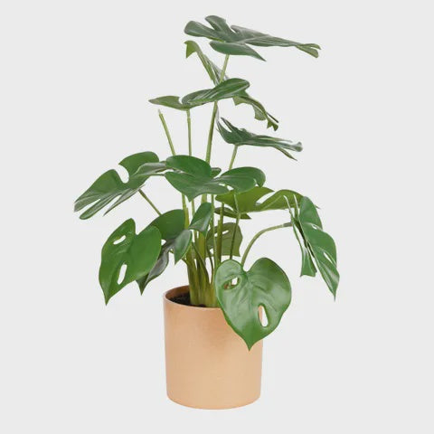 Faux Greenery - Monstera Real Touch in Pot